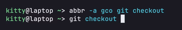abbr -a gco git checkout is entered at a fish prompt; then typing gco and pressing Space turns it into git checkout on the command line.