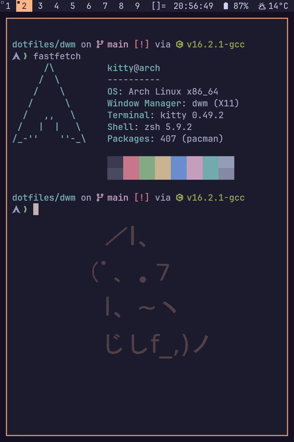 The finished rice: dwm's bar shows tags 1 to 9, the time, 87% battery and 14°C weather. Below, a kitty terminal with a Catppuccin colour scheme and an icon prompt runs fastfetch, which reports Arch Linux, dwm (X11), kitty 0.49.2 and zsh 5.9.2.