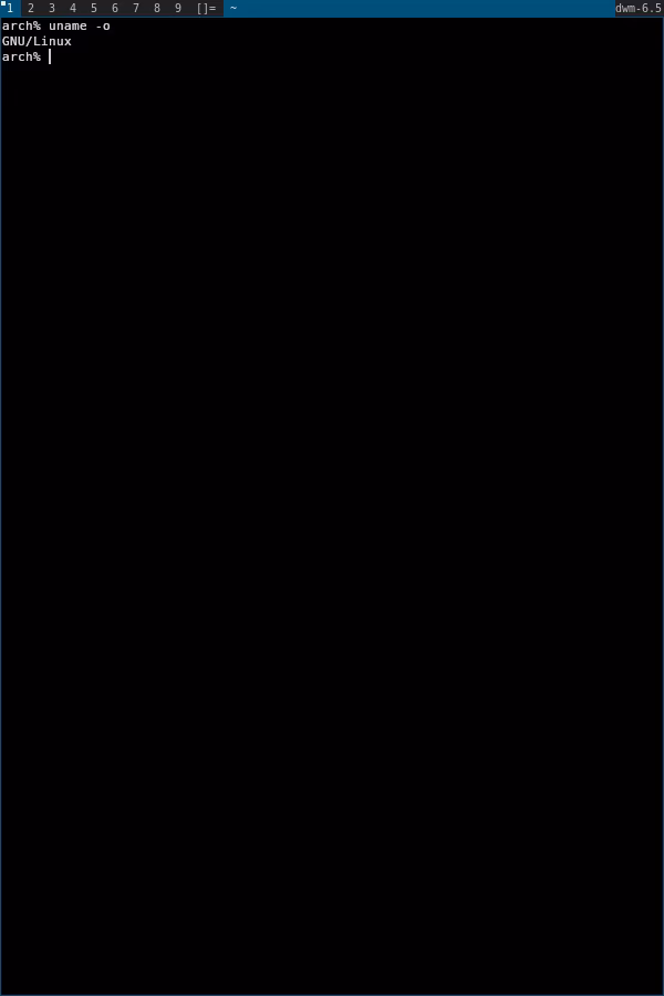 Stock dwm on Arch Linux: a plain black terminal filling the screen, with a thin blue bar on top showing tags 1 to 9, the layout symbol []= and dwm-6.5. The terminal shows uname -o printing GNU/Linux.