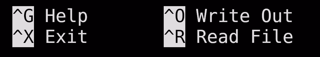 Two of nano's help lines, zoomed in: ^G Help and ^X Exit on the left, ^O Write Out and ^R Read File on the right, each key shown with a caret.