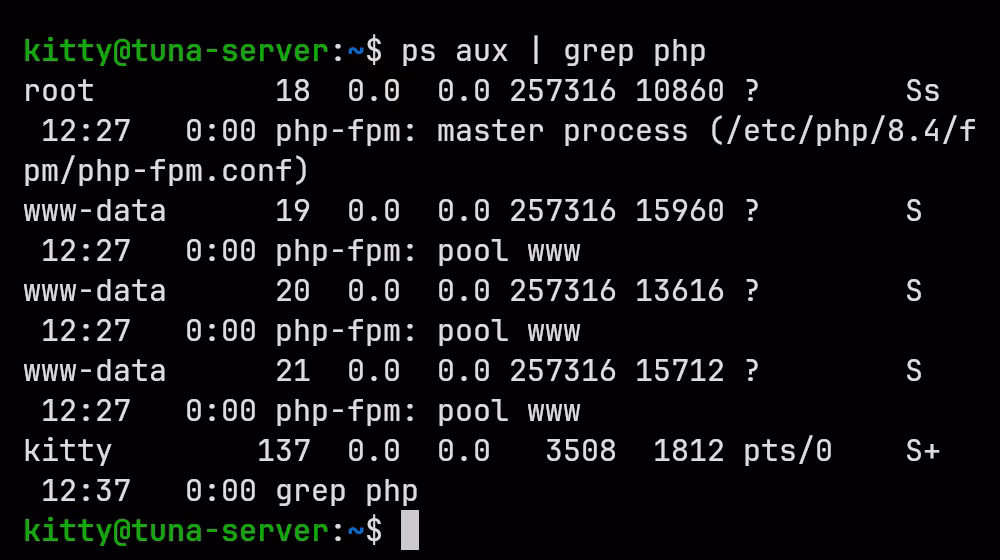 Terminal output of ps aux | grep php: one php-fpm master process and three 'php-fpm: pool www' worker processes, all started at 12:27 and still running when the command is run at 12:37.