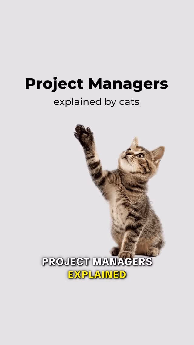 Project Managers