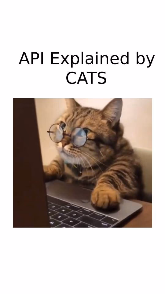 What is an API