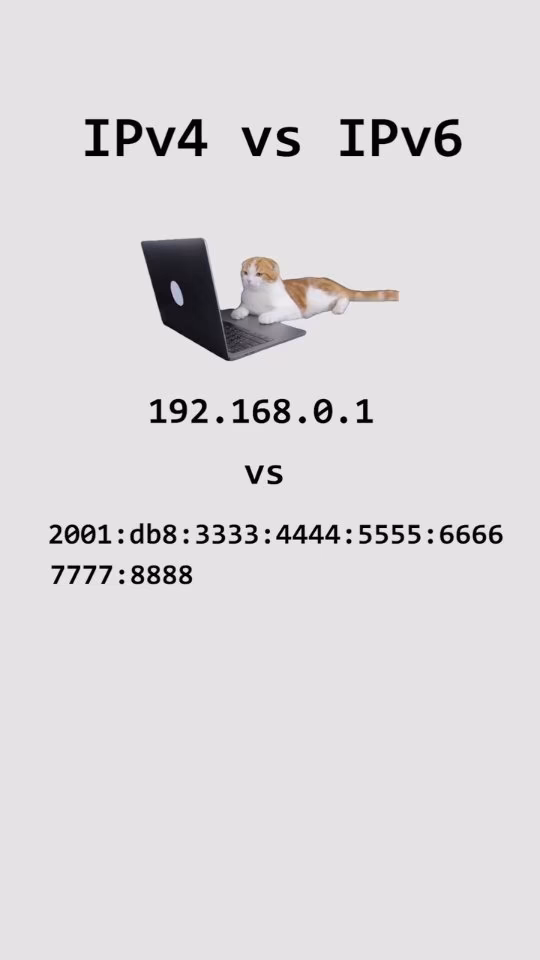 IPv4 vs IPv6