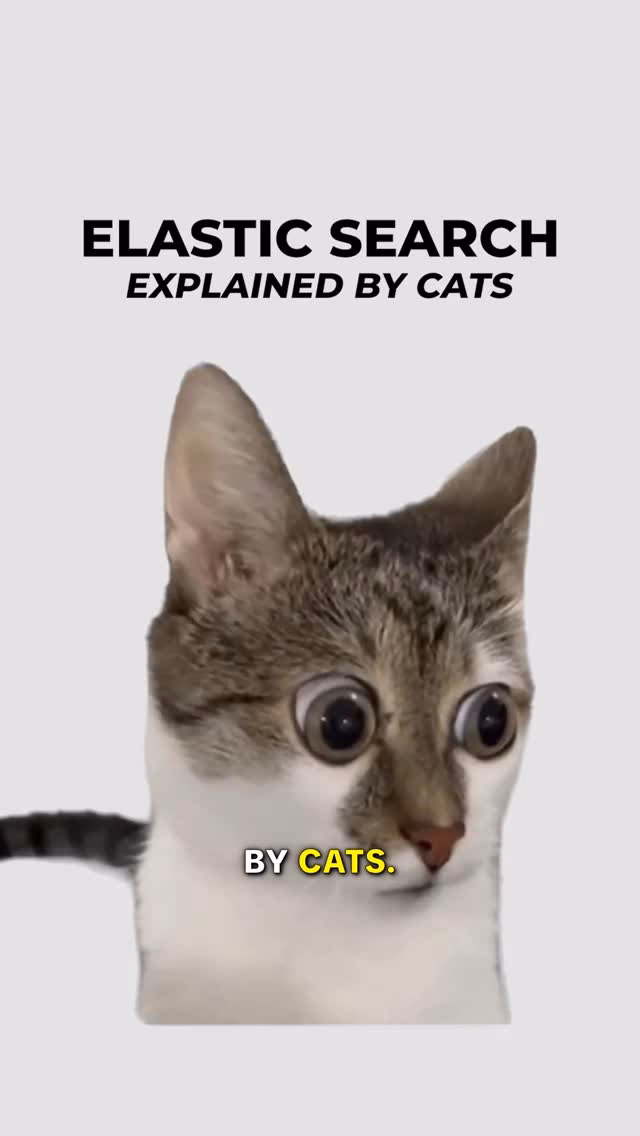 Elastic Search