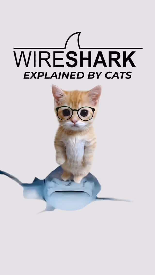 Wireshark