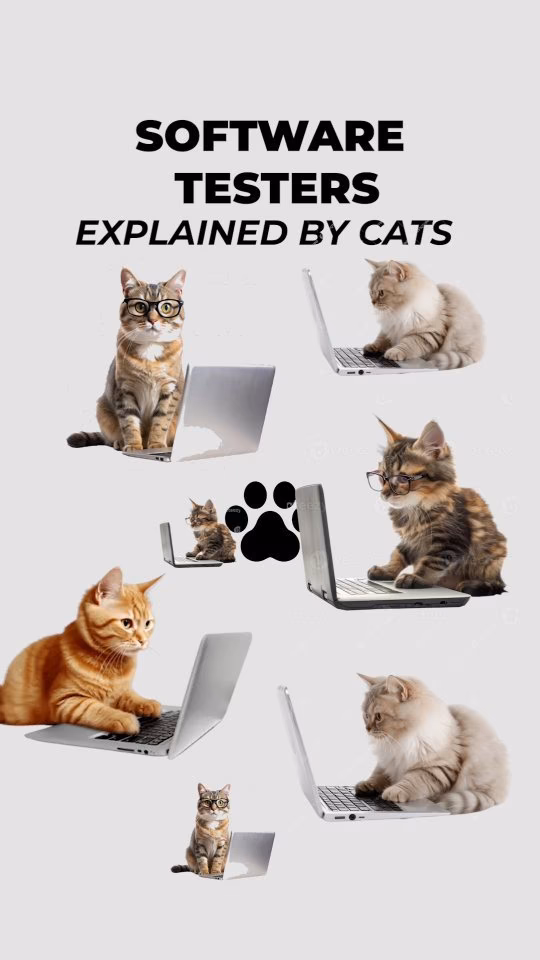 Software Testers