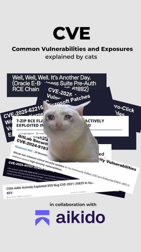 Zero Day & CVE's exploits