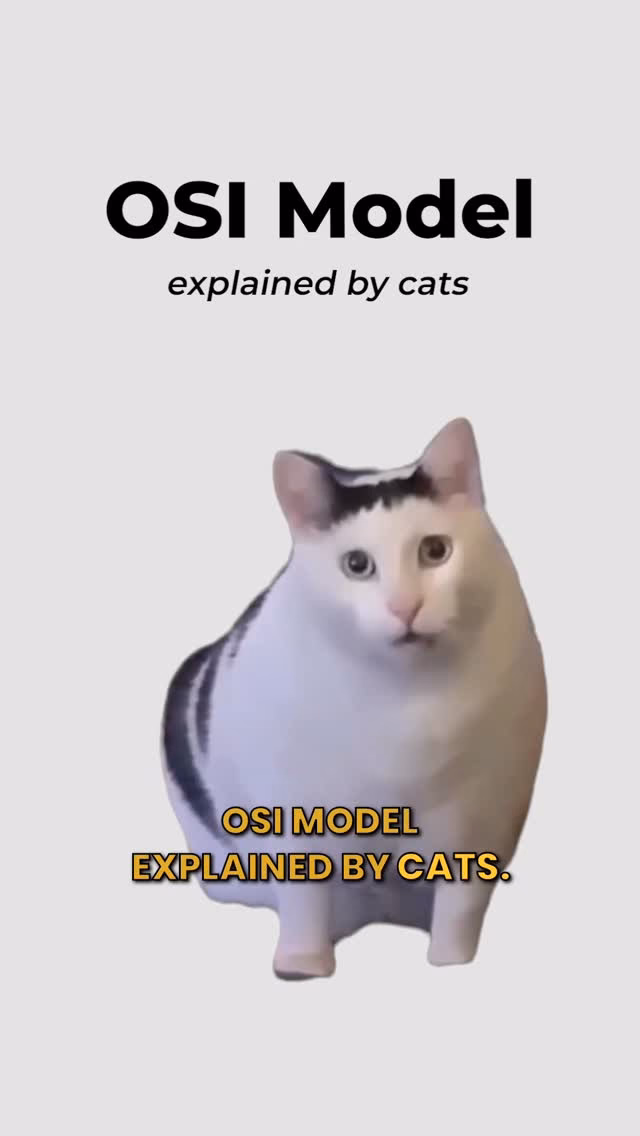 OSI Model