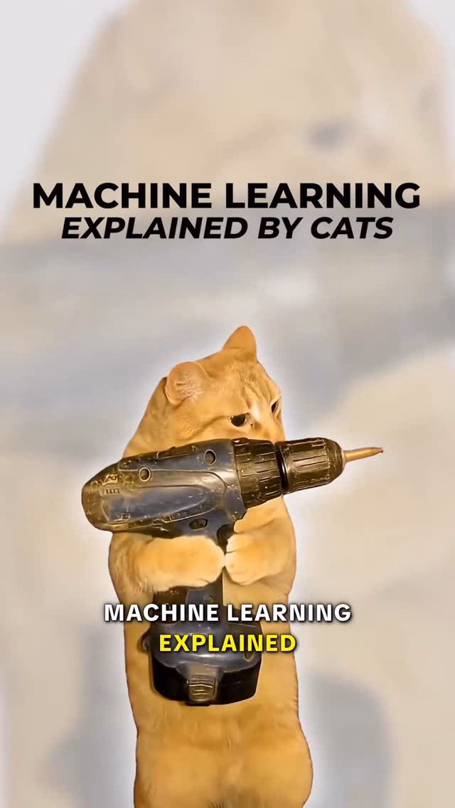 Machine Learning