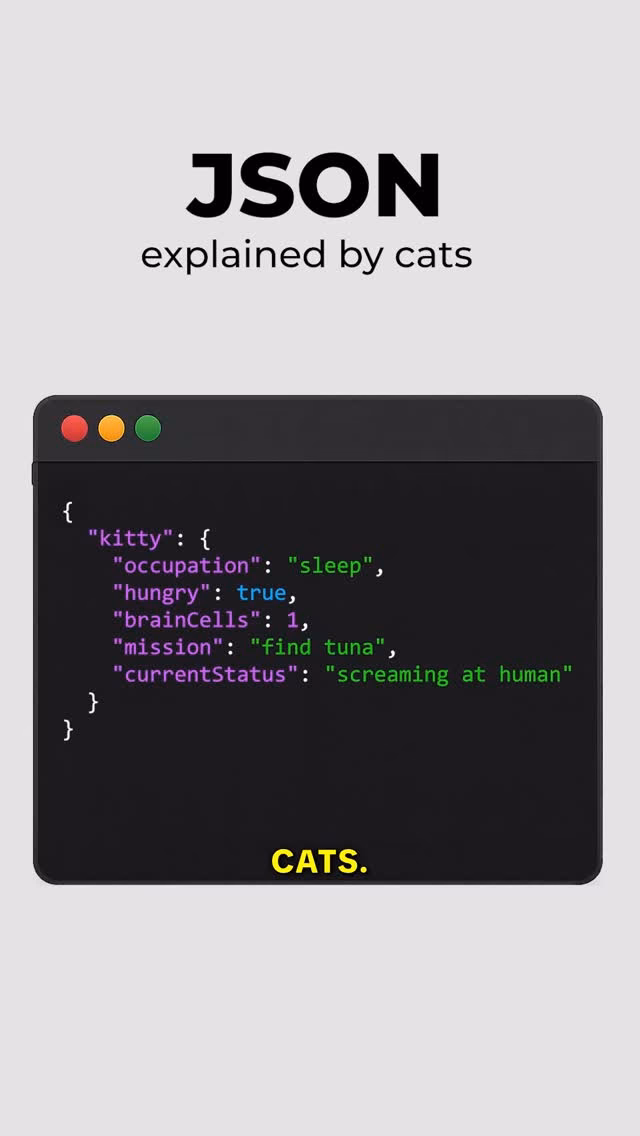 JSON