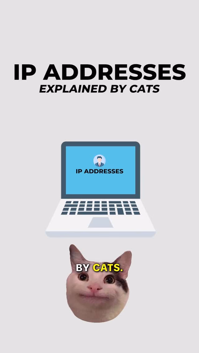 IP Address