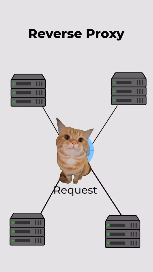 Reverse Proxy