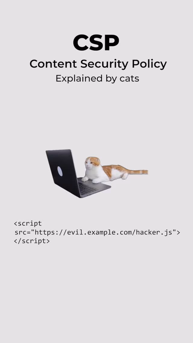 CSP (Content Security Policy)