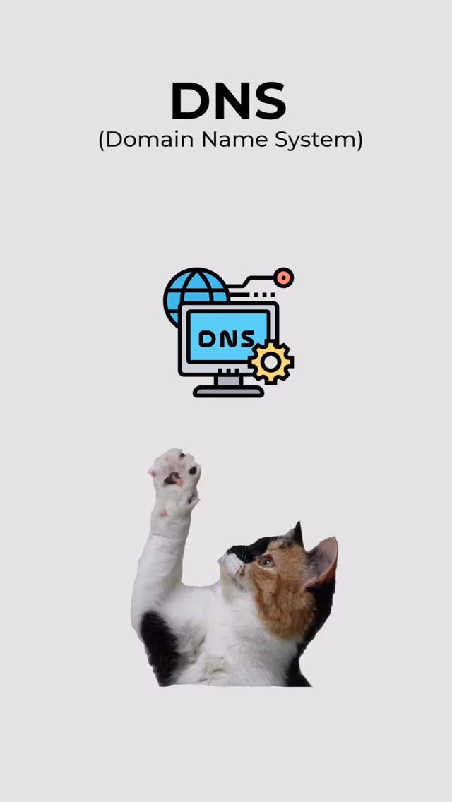 DNS