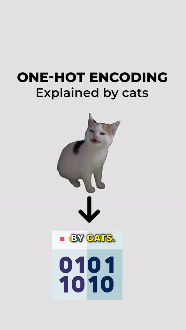 One Hot Encoding