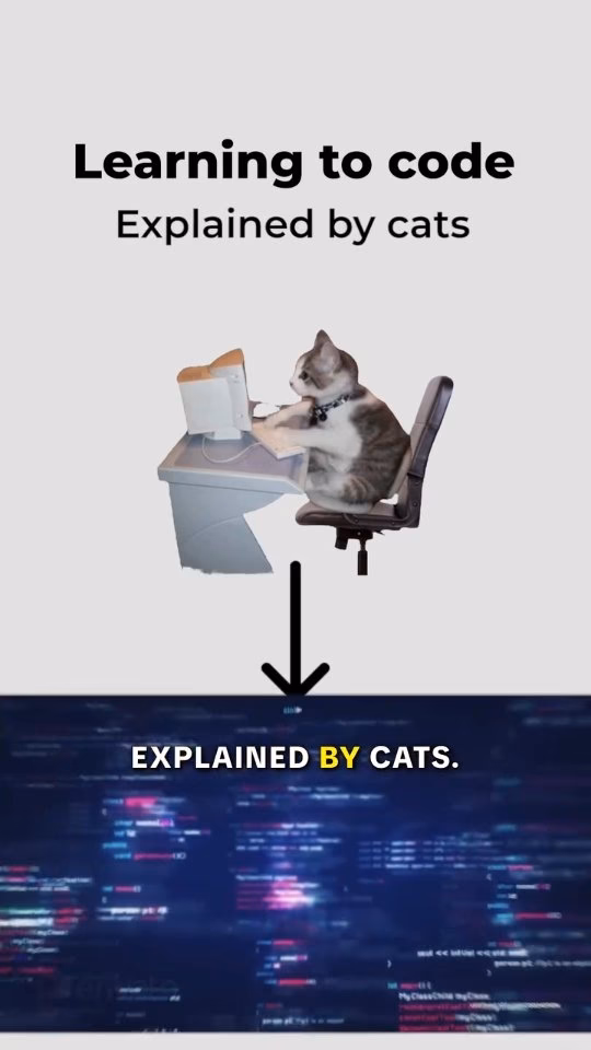How to learn coding