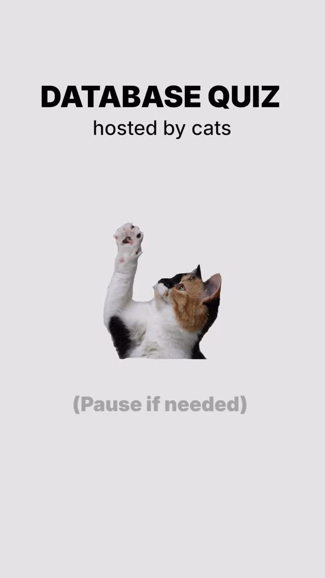Database Quiz