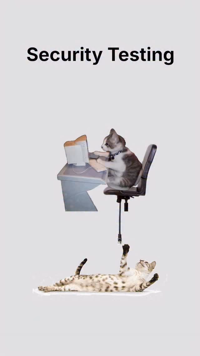Security Testing
