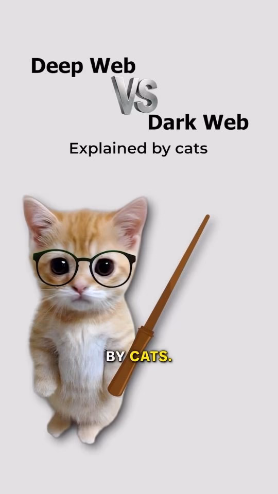Deep Web vs Dark Web