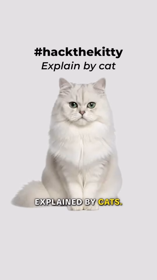 #hackthekitty