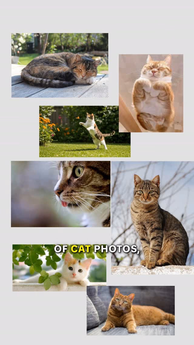 Vector Database