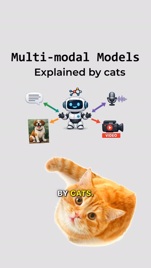 Multi-modal models