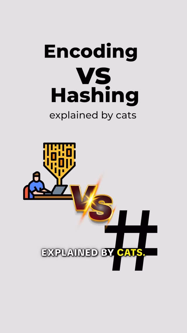 Encoding vs Hashing