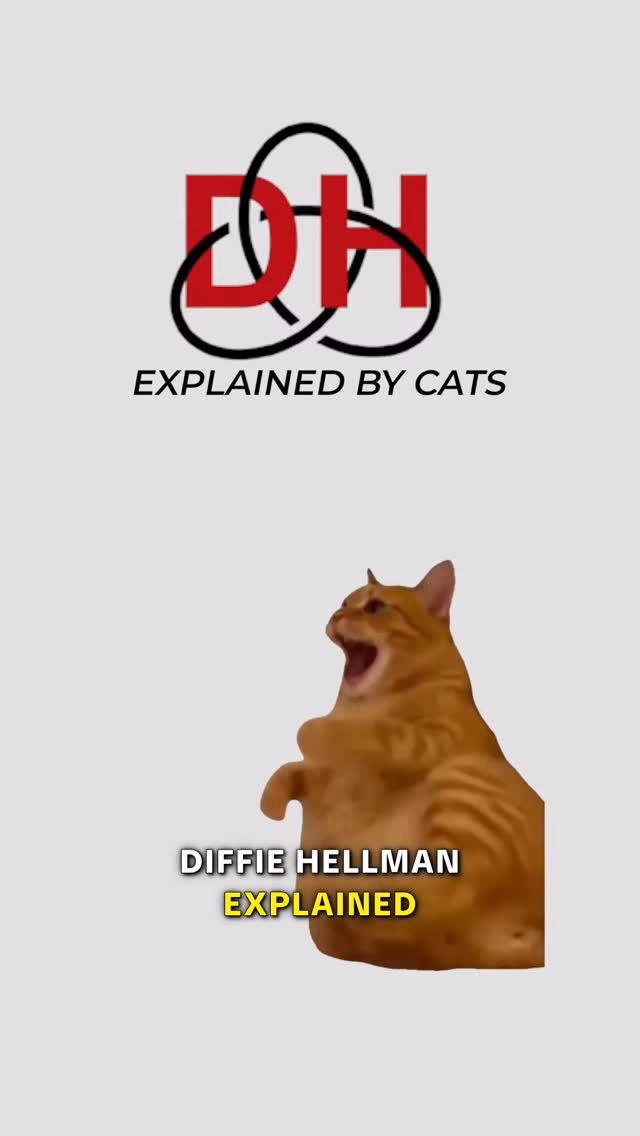Diffie Hellman