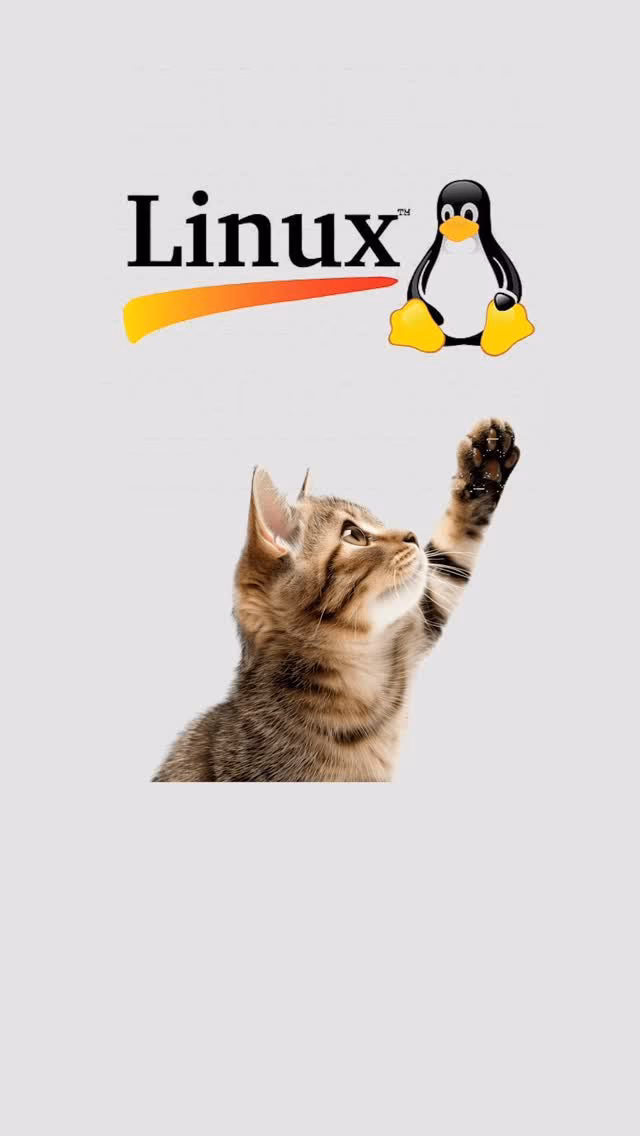 Linux
